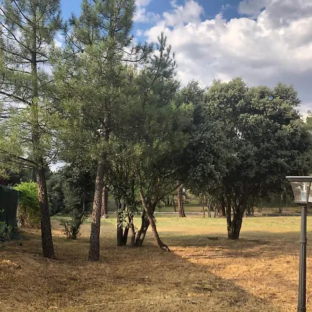 Entre Encinas * Marugán