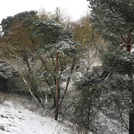 Entre Encinas * Marugán